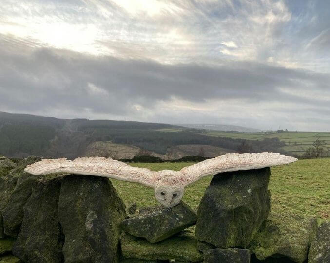 Jessica Brown – Barn Owl in Flight
